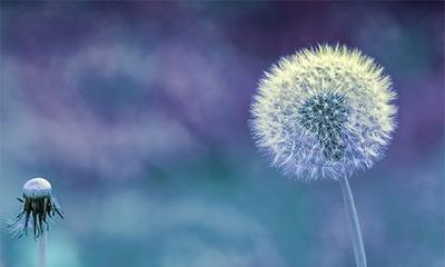 农历十月是几月?2022年农历十月是大月还是小月