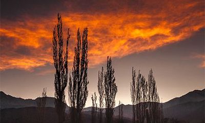 八字有禄的富贵等级,什么样的八字富贵双全?