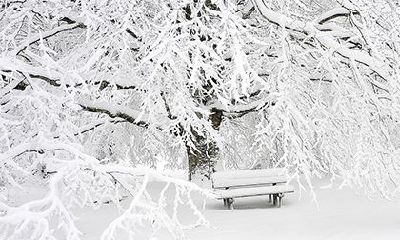 八字日支伏吟配偶势力大是真的吗?伏吟查法