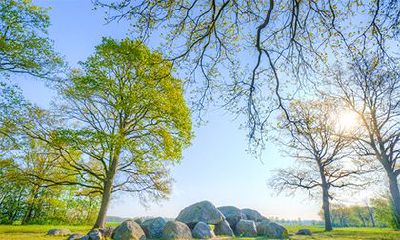 男命带伏吟是什么意思?伏吟看生死
