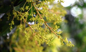 有钱太太命的星座女都有哪些人 一生富贵荣华星座女命好
