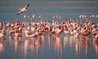 神仙皆怕遇甲寅是什么意思?甲寅日出生吉凶详解