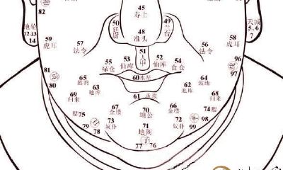 面相基本图,相术关键知识要点!