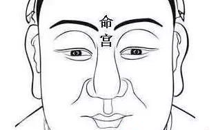 面相十二宫福禄吉凶图解,看完你就会看相了!