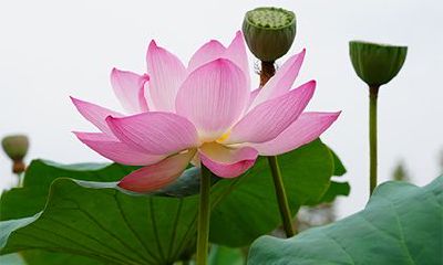 2022年辛亥日是哪一天?辛亥日是什么意思?