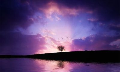 辛亥日为什么是上等命?辛亥日柱男命得妻财