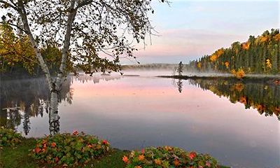 辛亥日见寅即是佳命吗?辛亥日出生的人命运好吗?