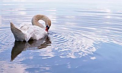 辛亥日哪个时辰出生好?辛亥日柱是伤官生财吗?