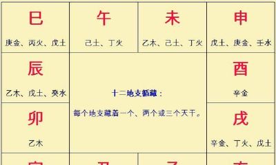 再谈八字排盘案例详细说明(三)轻轻松松排出来地支藏干