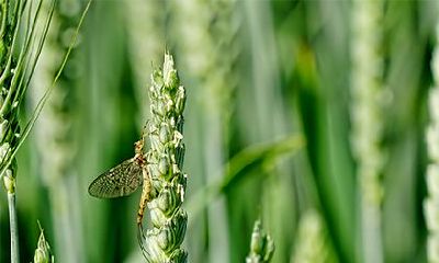 2022年虎年农历十二月十四日日子好吗?当日吉时有几个?