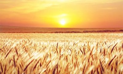 命带天喜和命带红鸾哪个好?红鸾天喜入命是什么意思?