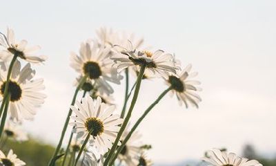 壬寅虎2022年农历十二月十二日是不是吉利日子?吉时在什么时候?