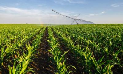 2022年农历十二月出生宝宝五行缺什么属什么?