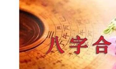 八字合婚,看着你俩是不是天生一对?