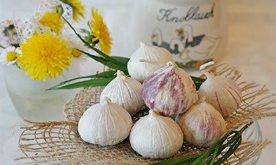 2022虎年农历十一月初十日子吉利吗?能祈福不