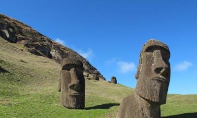 梦见死人给我钱