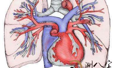 梦到左胸长物品