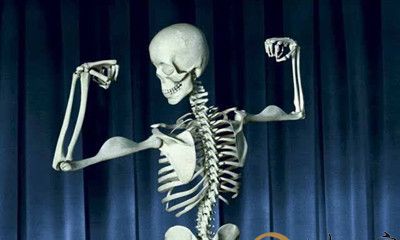 梦到人骨架