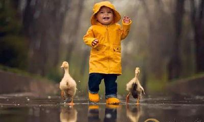 孕妇梦见小孩掉泥里了