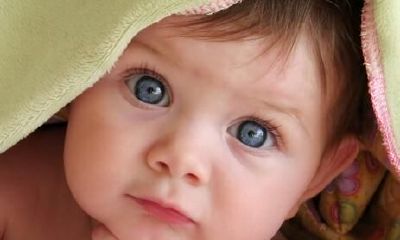 十二生肖的人取什么名字好