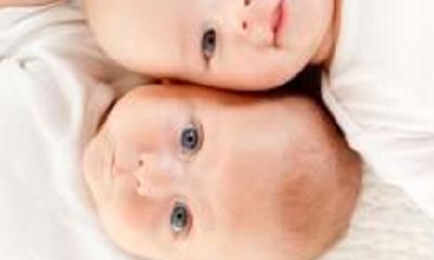 鸡年双胞胎姐妹名字