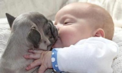 有哪些名字罗姓男孩