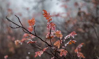 2022年农历九月初六日子怎么样?这天是什么日子?