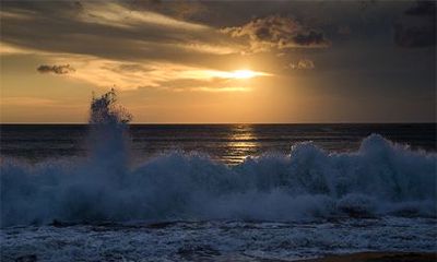 2023年五行属性查询表,农历五月出生五行缺什么