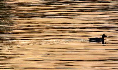 2022年农历九月十四是黄道吉日吗?什么是十二建星?