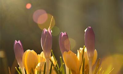 2022年农历九月十五日子怎么样?是黄道吉日吗?