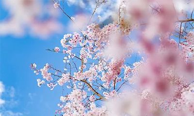 2022年农历九月十六是不是吉日?卦象好吗?