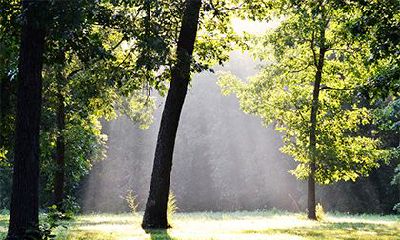 2022年农历九月十八当日是不是吉日?卦象好不好?