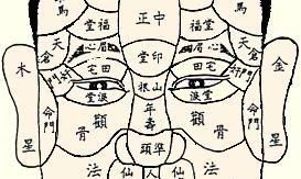 「相术經典」——麻衣神相十二宫面相详解