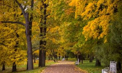 立秋可以乔迁新家吗?立秋搬家往哪个方向