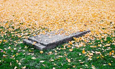 2022虎年九月十九黄历宜祭祖吗?是不是吉日