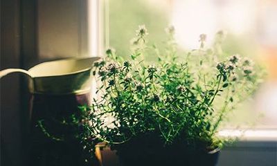 2022年农历九月二十六是吉日吗?卦象好坏?