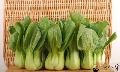 梦到拿蔬菜回家了