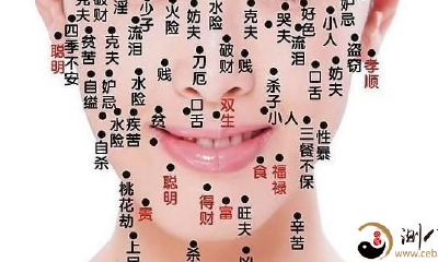 女人脸上痣相算命图解大全,痣祸福图解
