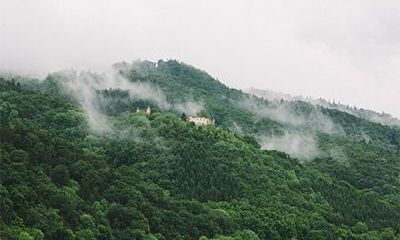 戊辰大林木命详解,戊辰大林木命的命运好不好?