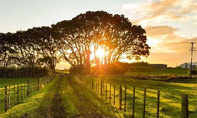 大林木命绝对不能住的楼层,大林木命买房几层楼最好?