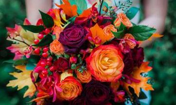 办公室坐南朝北属于好的办公室坐向