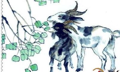 生肖羊各有各的命,看看你是富贵命还是贱命?