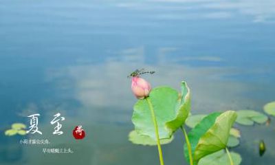 2022年夏至是什么时候,夏至入伏了吗?