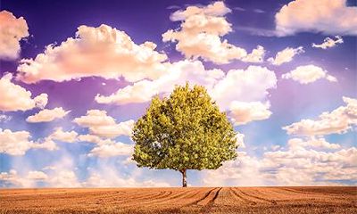 为什么生孩子要避开七月?虎年几月生孩子好?