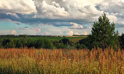 食神遇偏财是巨富的命,八字看偏财格的富贵程度