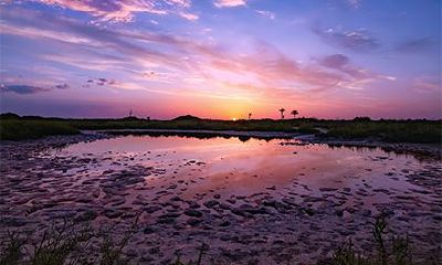 偏财在天干好还是地支好?八字偏财几个最好?
