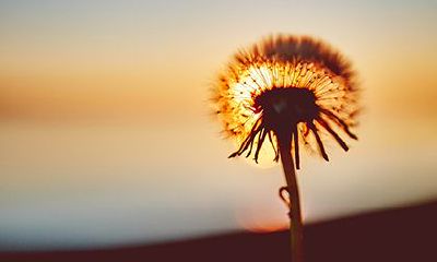 婚姻极好的男命八字特征,必离婚的男命八字