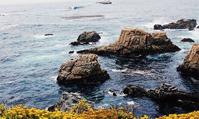 八字不合的两个人真的不能结婚吗?八字不合硬结婚会怎么样?