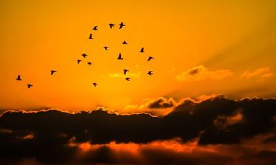 八字破格是什么意思?八字破格了怎么办?