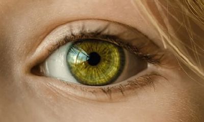 女人看哪里才知道命好?有福之人的面相特征